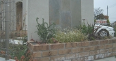 RIMG2723.JPG