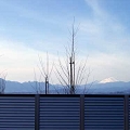 20070212-(15).jpg