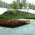 20070212-(14).jpg