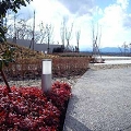 20070212-(4).jpg