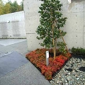 20070212-(5).jpg