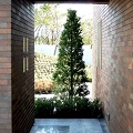 20070212-(7).jpg