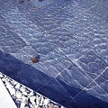20070212.jpg