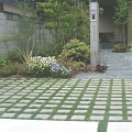 RIMG0191sss.jpg