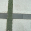 RIMG0193sss.jpg