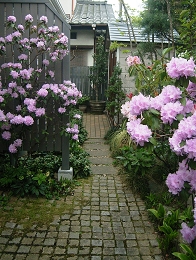 2011042202.jpg