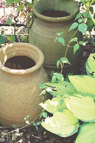 pot1.jpg