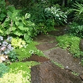 RIMG0288ss.jpg